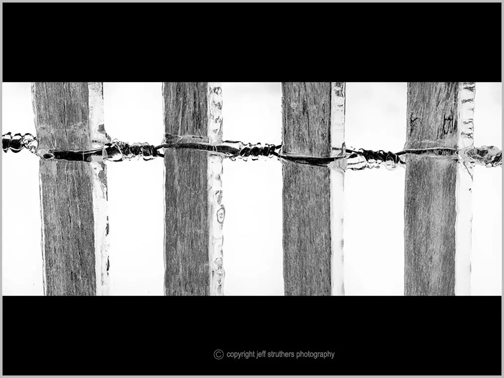A black and white photo of barbed wire.