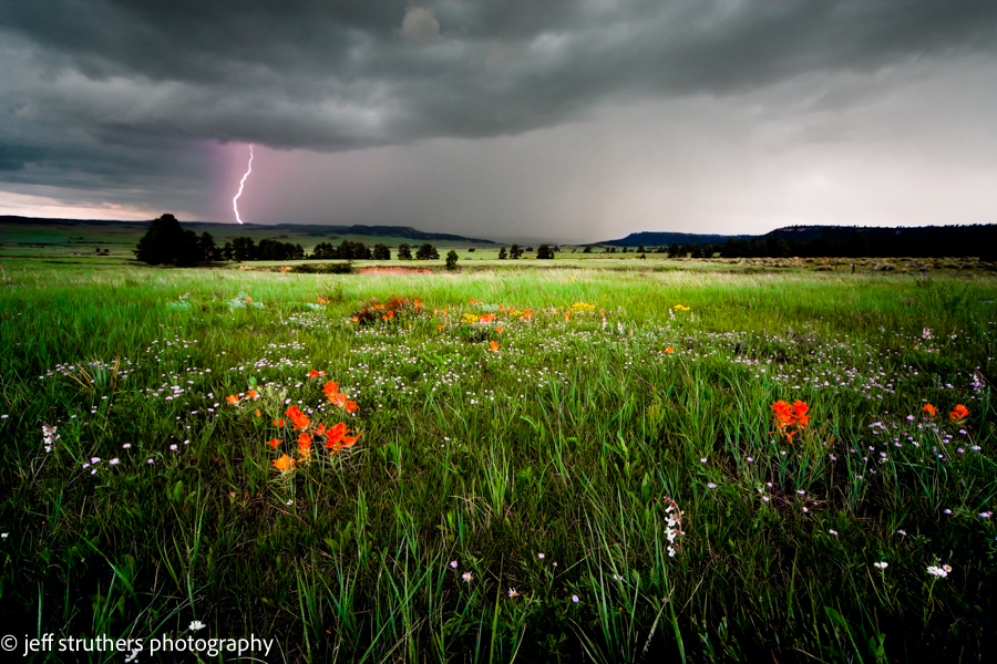 Elbert County Thunderstorm Photography
